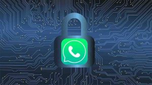 1631302154_227_WhatsApp-reads-the-messages-of-our-chats
