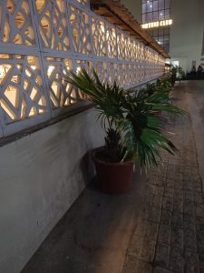 IMG_20230606_200913_733
