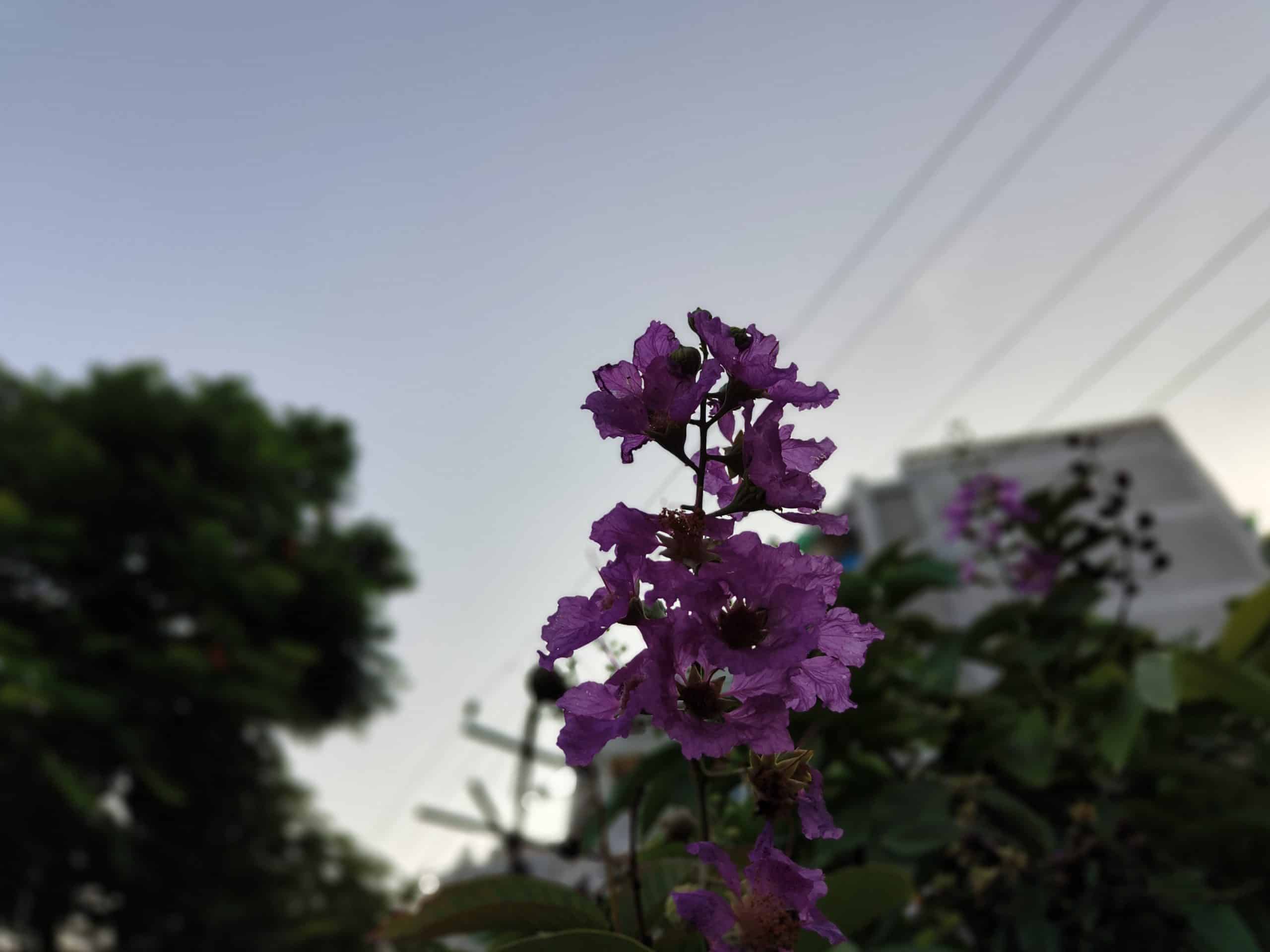 IMG20230114055021