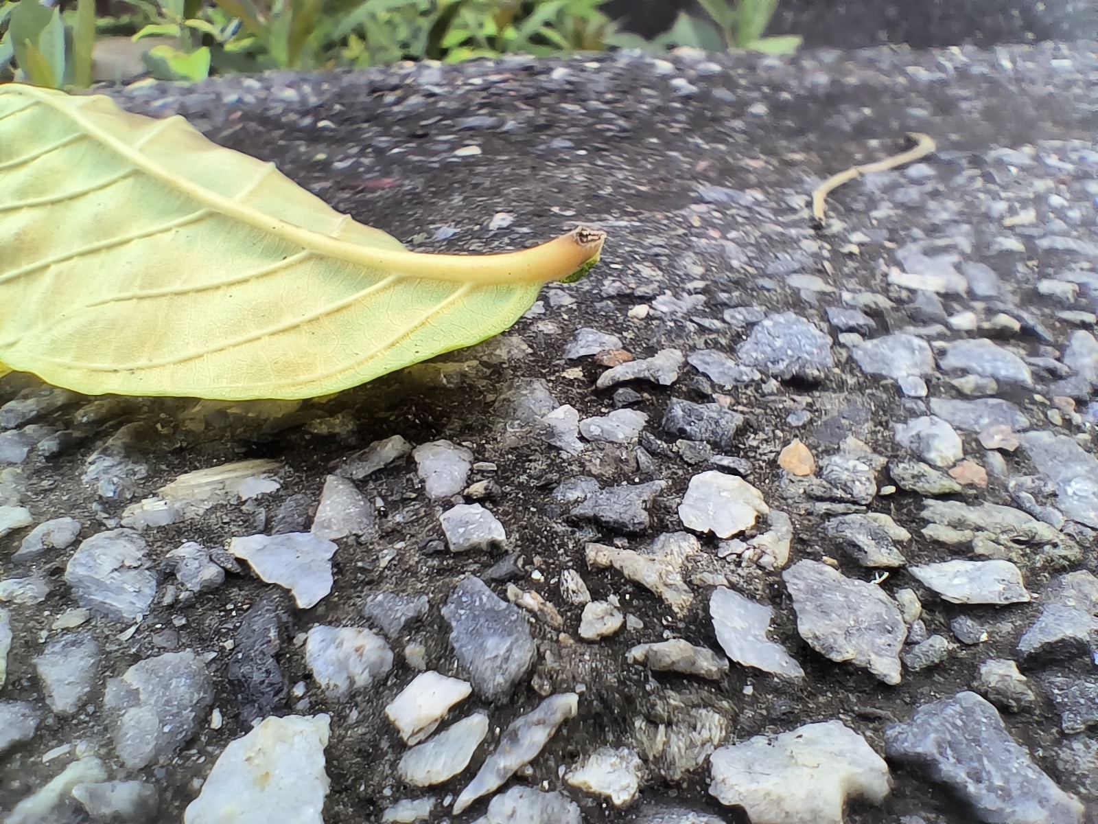 IMG20230114055201