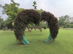 IMG20230728090050
