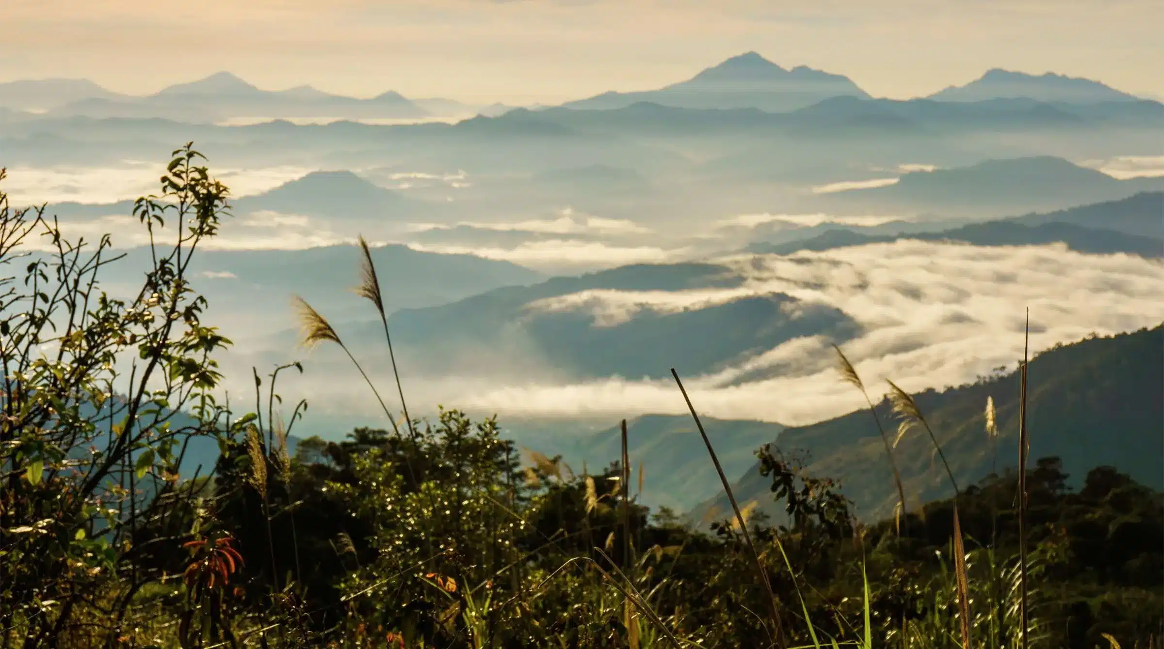 mountains