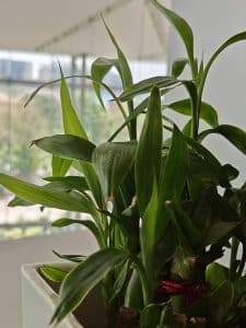 IMG20230101194357