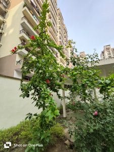 IMG20230728170150