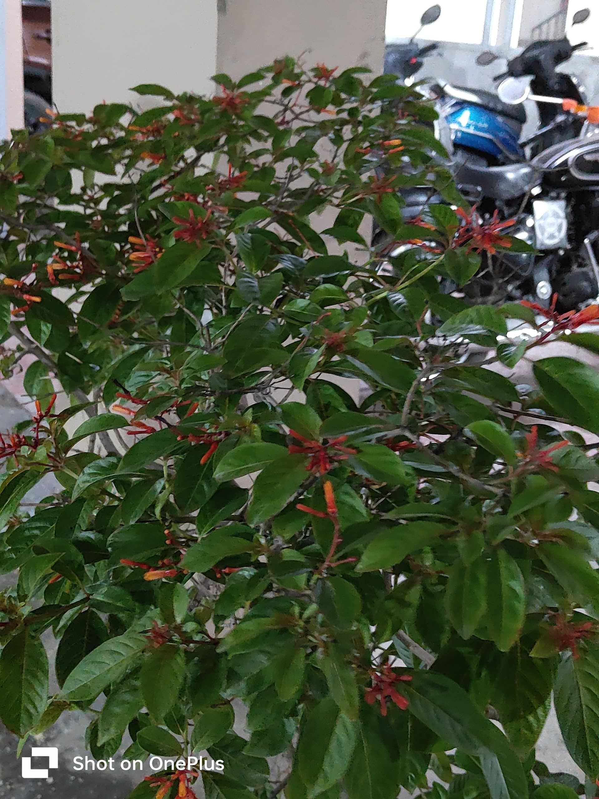 IMG20230729194144