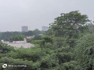 IMG20230731093449