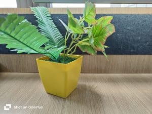 IMG20230731104401
