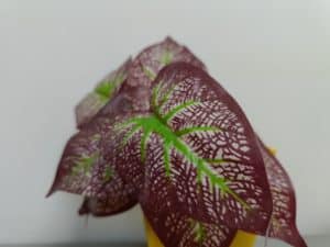 IMG20230822153516