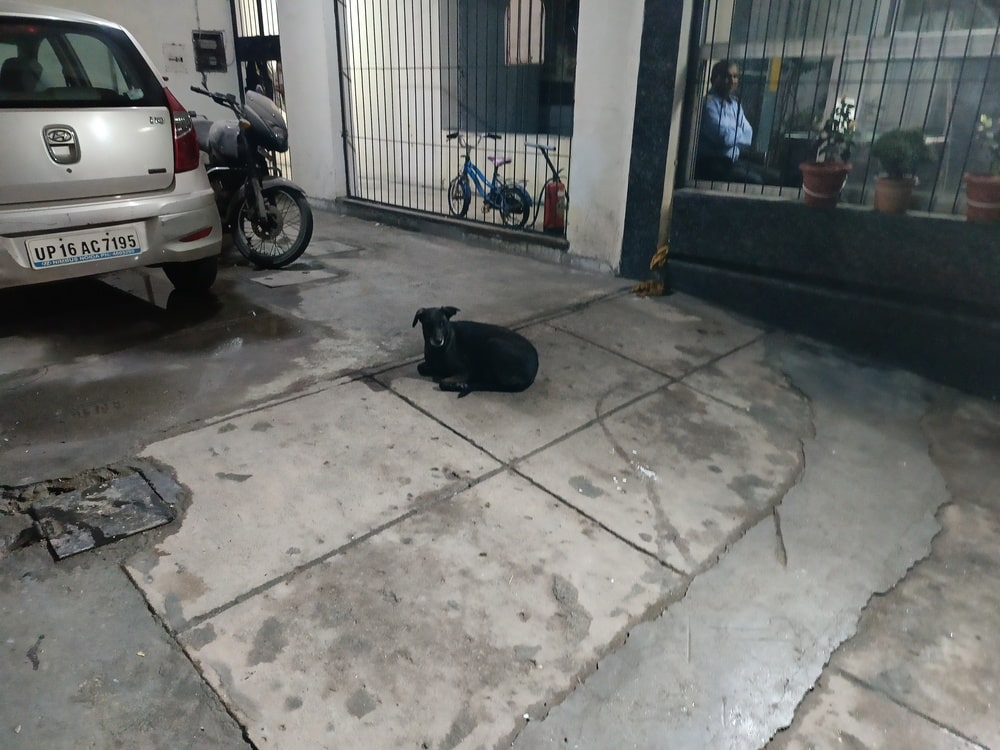 IMG20230823223429