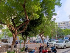 IMG_20230730_171503_640