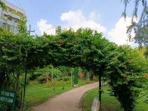 IMG_20230730_171730_681
