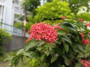 IMG_20230730_171803_969