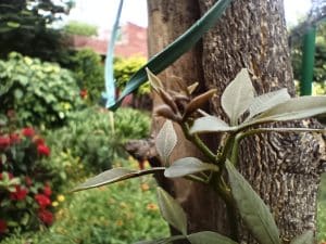 IMG_20230730_171827_928