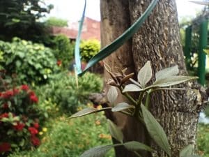 IMG_20230730_171830_650