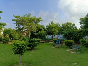 IMG_20230730_171906_014