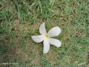 IMG_20230805_141323