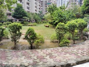 IMG_20230805_142505