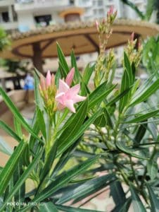 IMG_20230805_142604