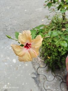 IMG_20230805_143357