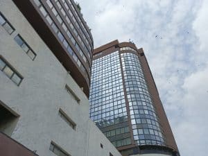 IMG_20230814_144042_903