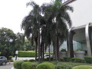 IMG_20230821_144642