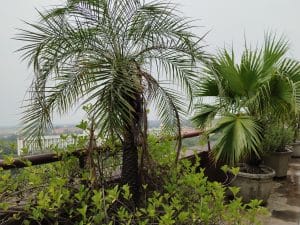 IMG_20230822_114521