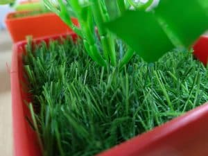 IMG_20230904_132517_575