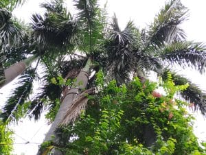 IMG_20230907_160937
