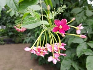 IMG_20230907_161001