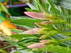 IMG_20230910_111208
