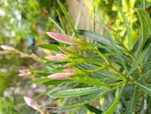 IMG_20230910_111225