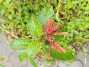 IMG_20230910_111426