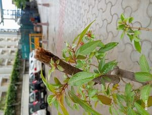 IMG_20230910_111452