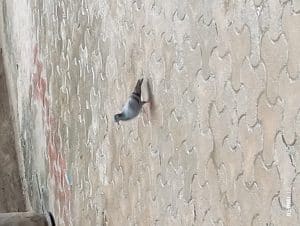 IMG_20230910_111533