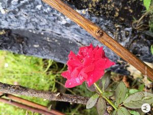 IMG_20230923_143408838