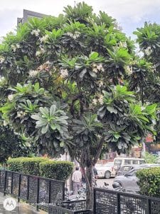 IMG_20230923_144038442_HDR