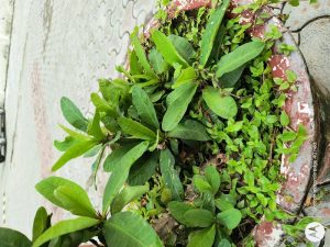 IMG_20230923_154503601