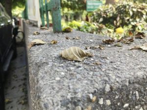 IMG_20230930_103950