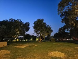 IMG_20230708_152447