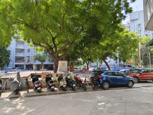 IMG_20231007_095607