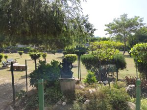 IMG_20231007_095805