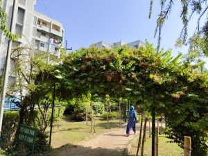 IMG_20231007_095815