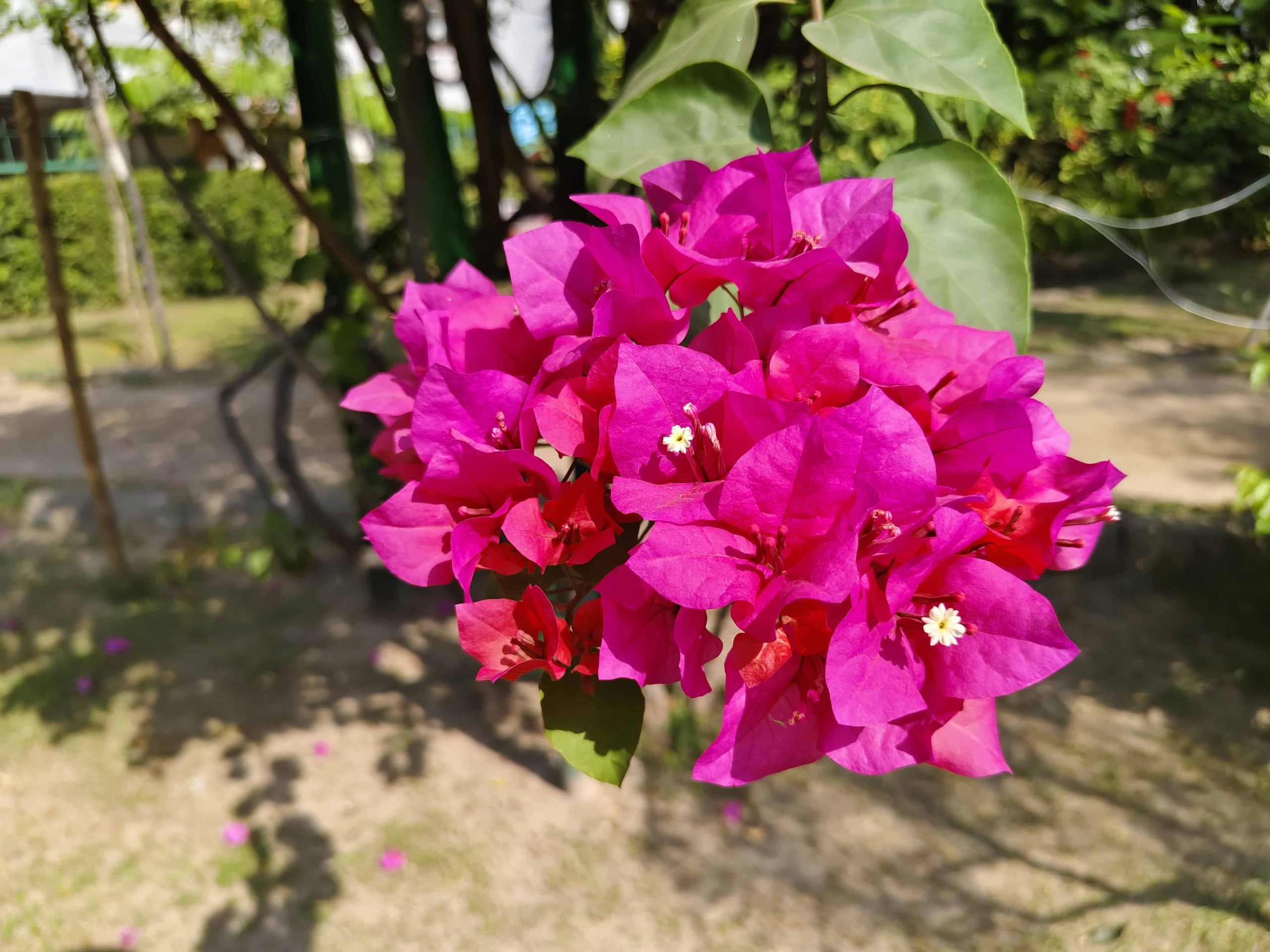 IMG_20231007_100212
