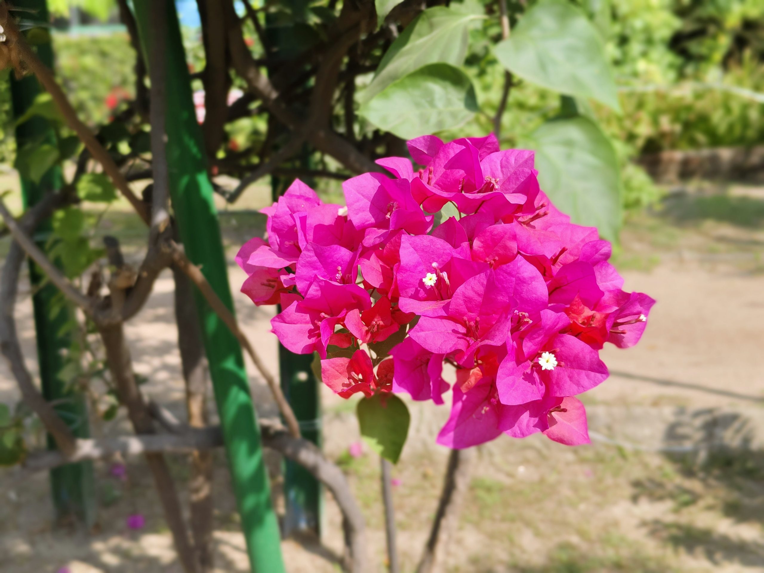 IMG_20231007_100219