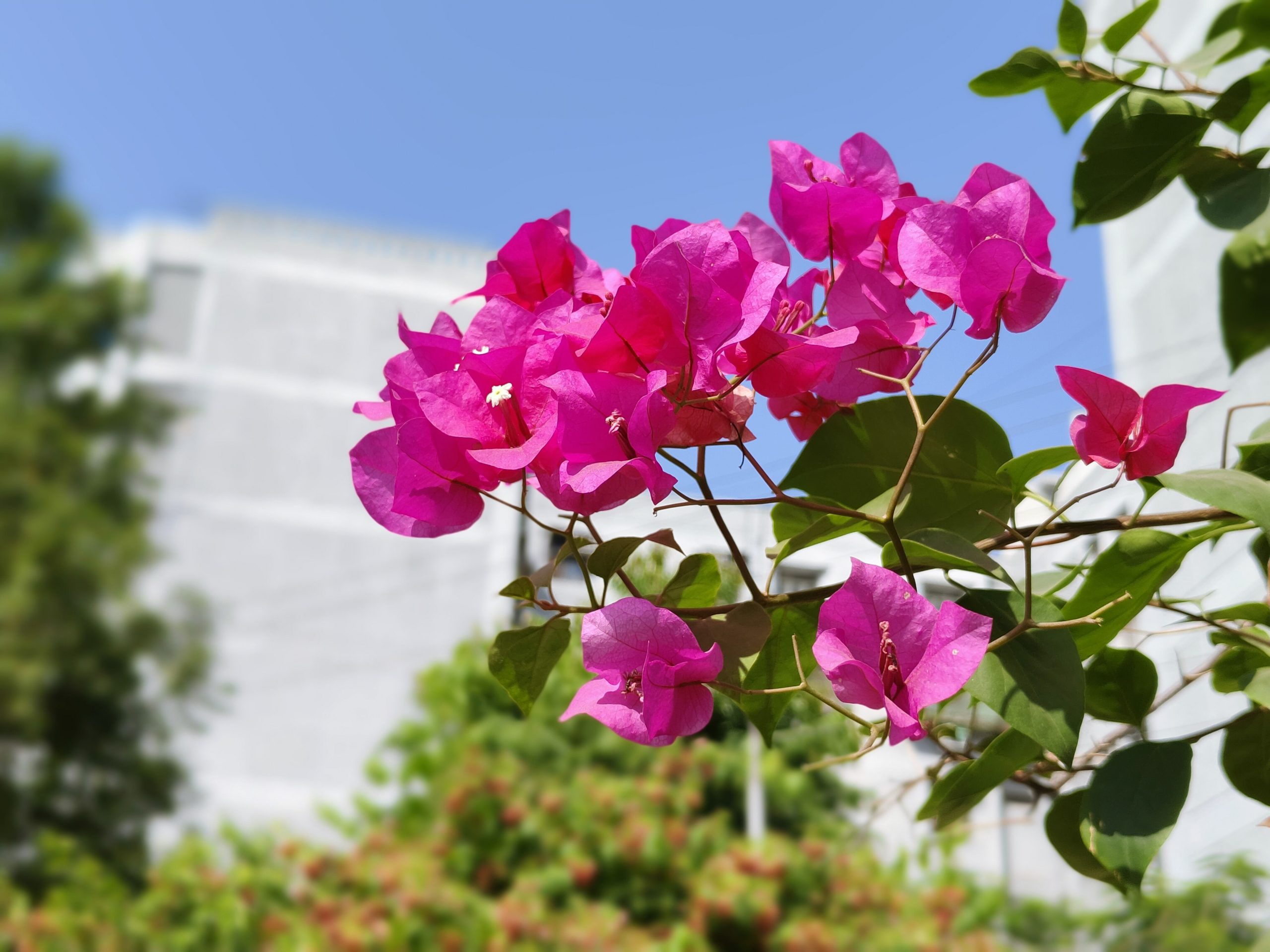 IMG_20231007_100231