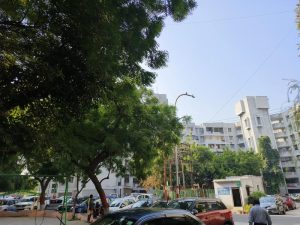 IMG_20231014_085859