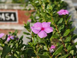 IMG_20231014_090114