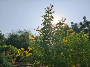 IMG_20231014_090150