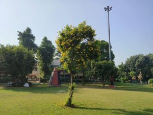 IMG_20231014_090258