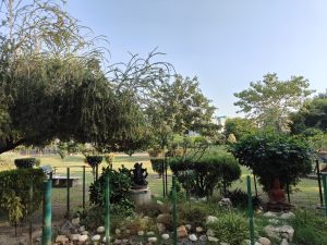 IMG20231112153059